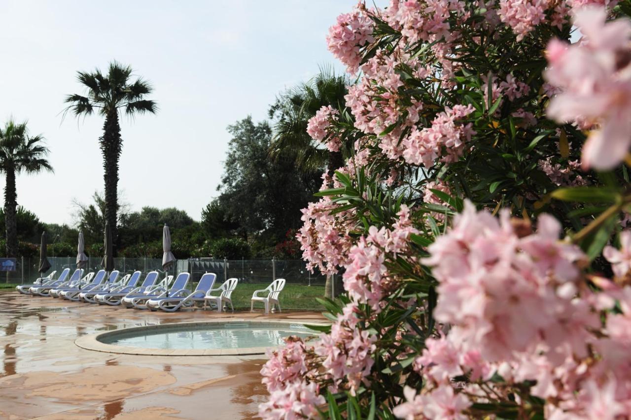 Belambra Clubs Residence Le Grau Du Roi - Le Vidourle 阿爾勒 外观 照片
